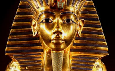 The Whys of Wonderful Things