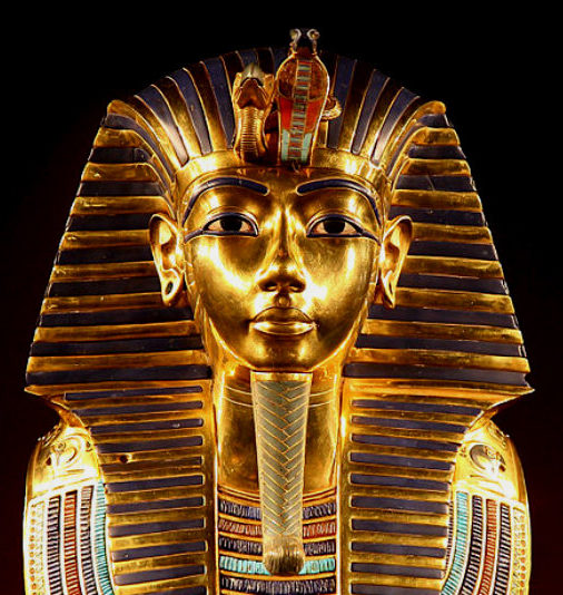 The Whys of Wonderful Things