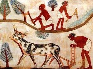 Celebrate Peret, the Season of Emergence