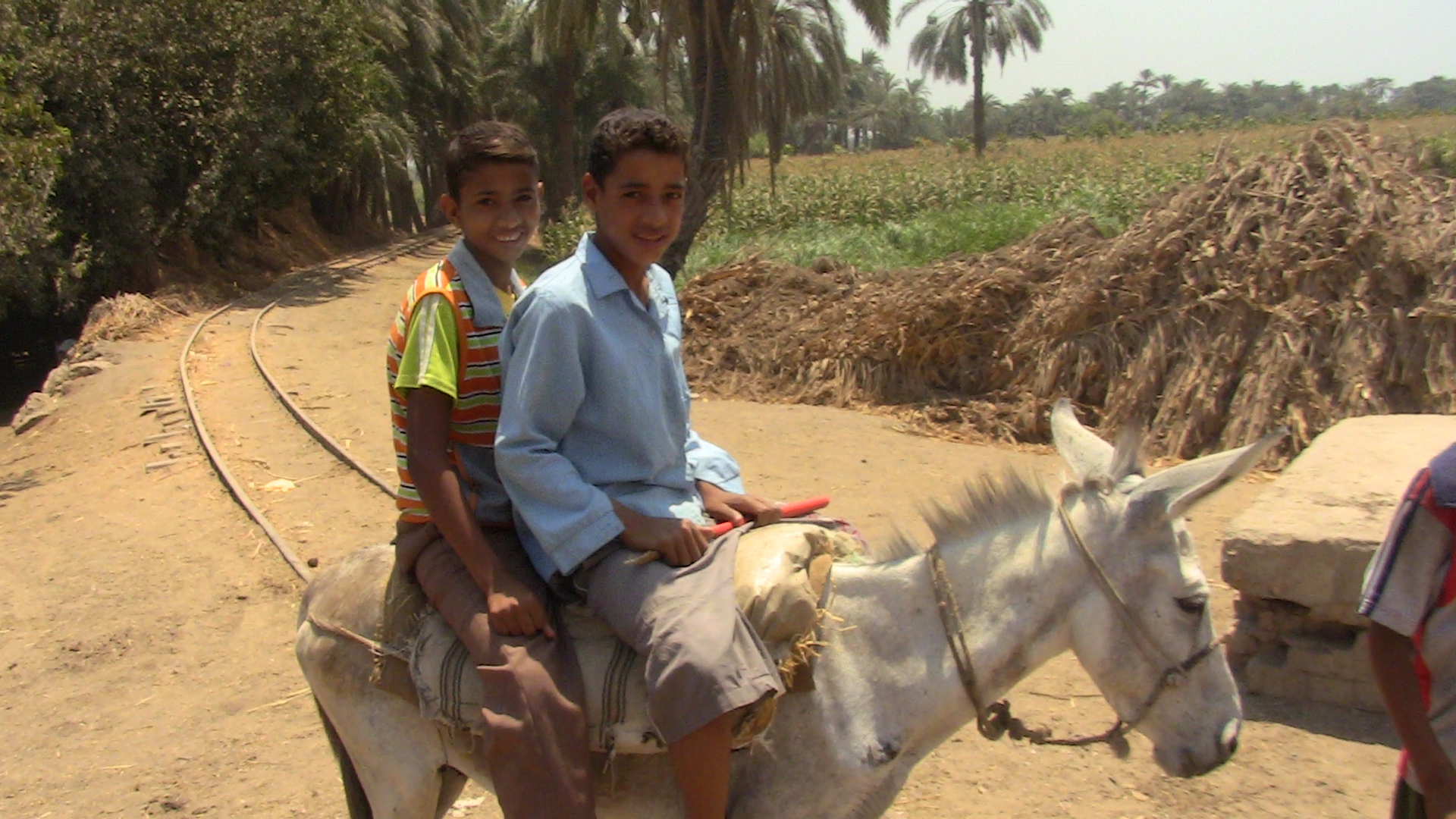 Why should you travel to East Egypt | Ancient Egypt lives | Travel Tour | Online Learning | Online courses