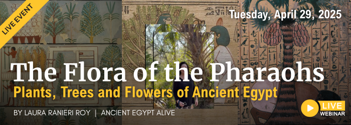 The Flora of the Pharaohs: Plants, Trees and Flowers of Ancient Egypt