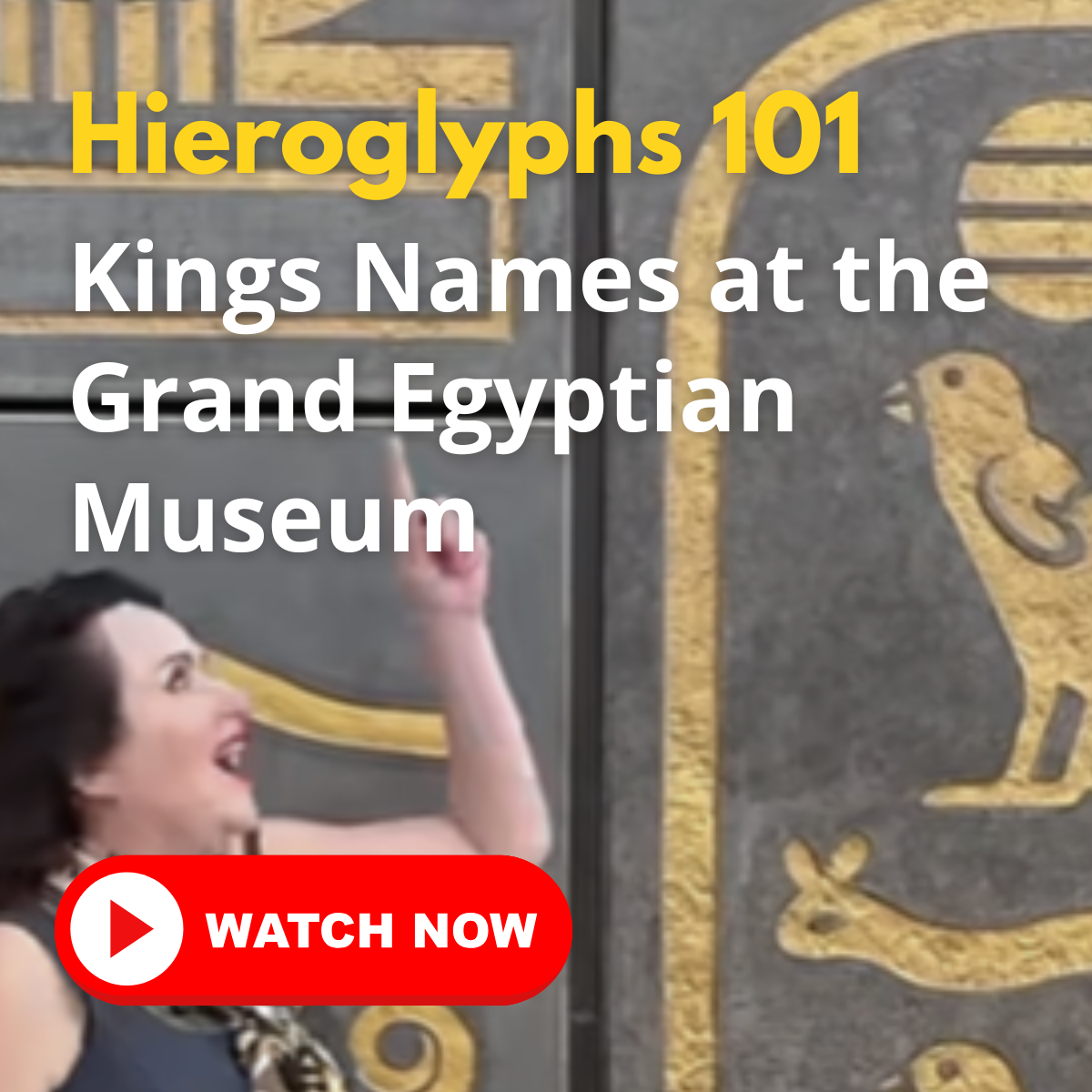 Hieroglyphs 101 Kings Names at the Grand Egyptian Museum