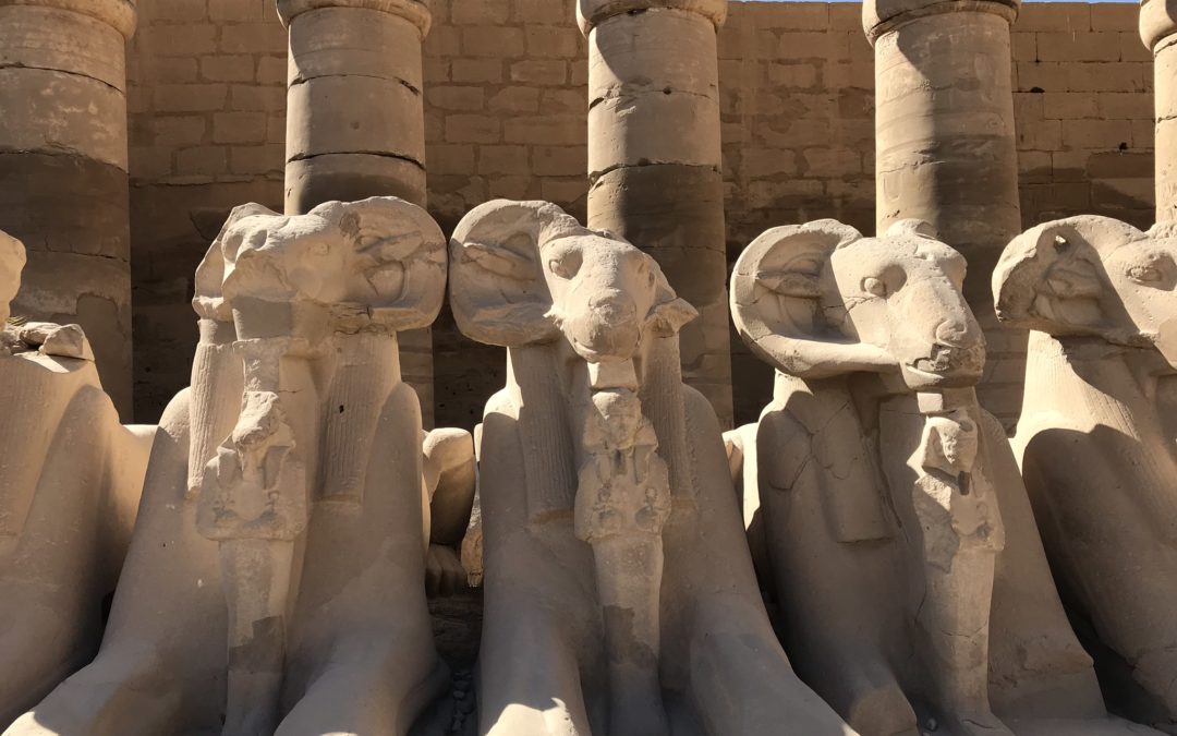 Egyptian Sphinxes: Beyond the Avenue