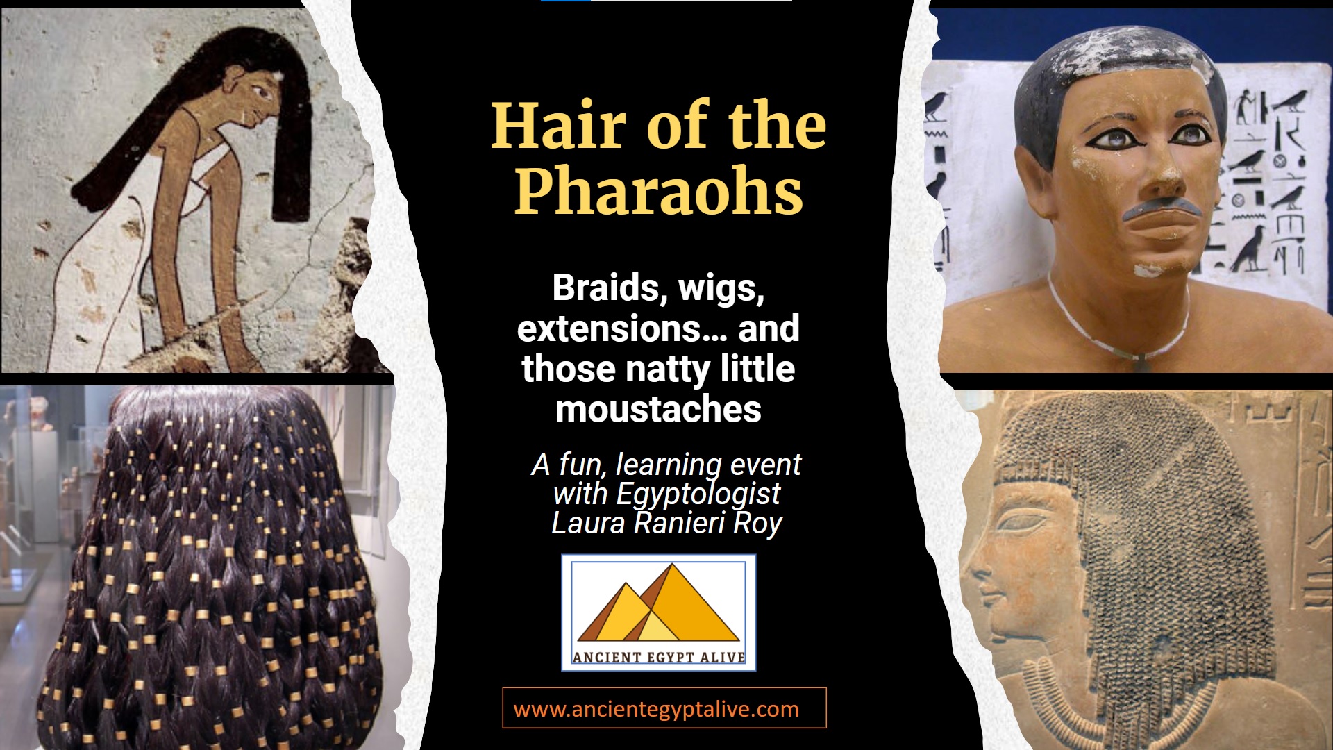 Collage photos for Hair of the Pharaohs Seminar Banner